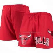 Short Chicago Bulls Pro Standard Mesh Capsule Rouge